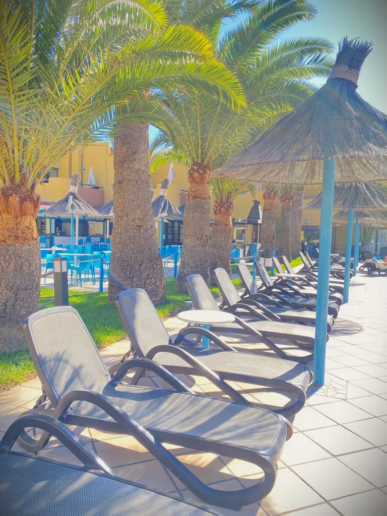 Jardin Atlantico (33)