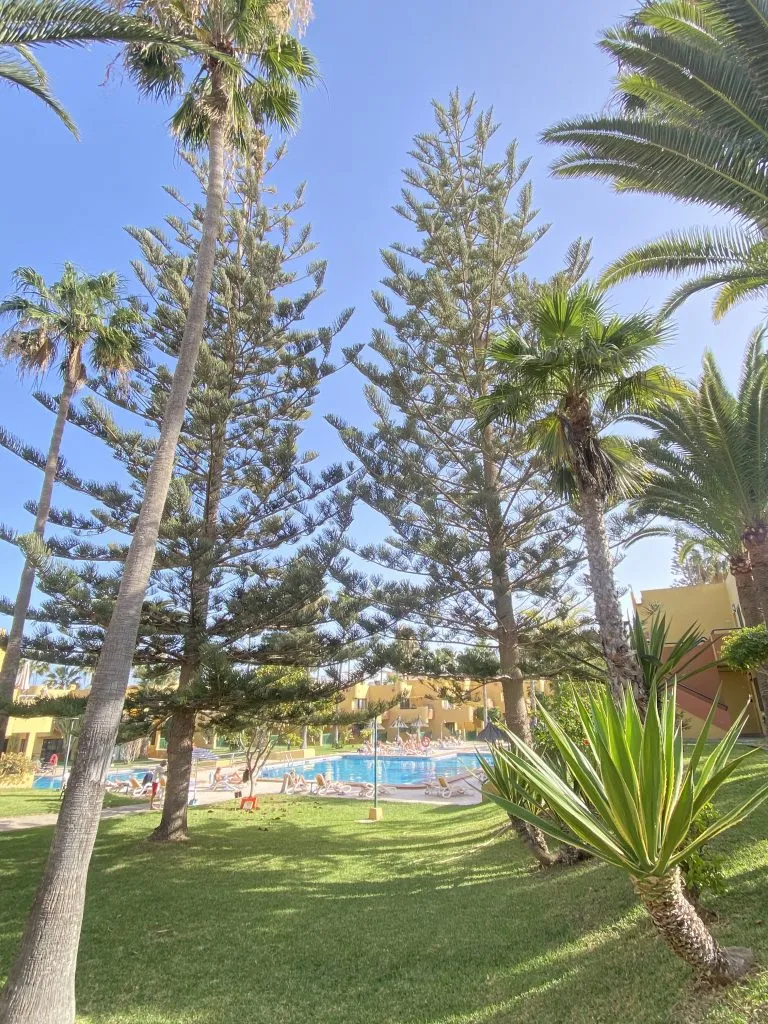 Jardin Atlantico (54)